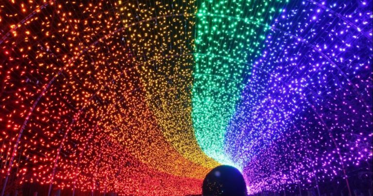 festival of lights cincinnati zoo