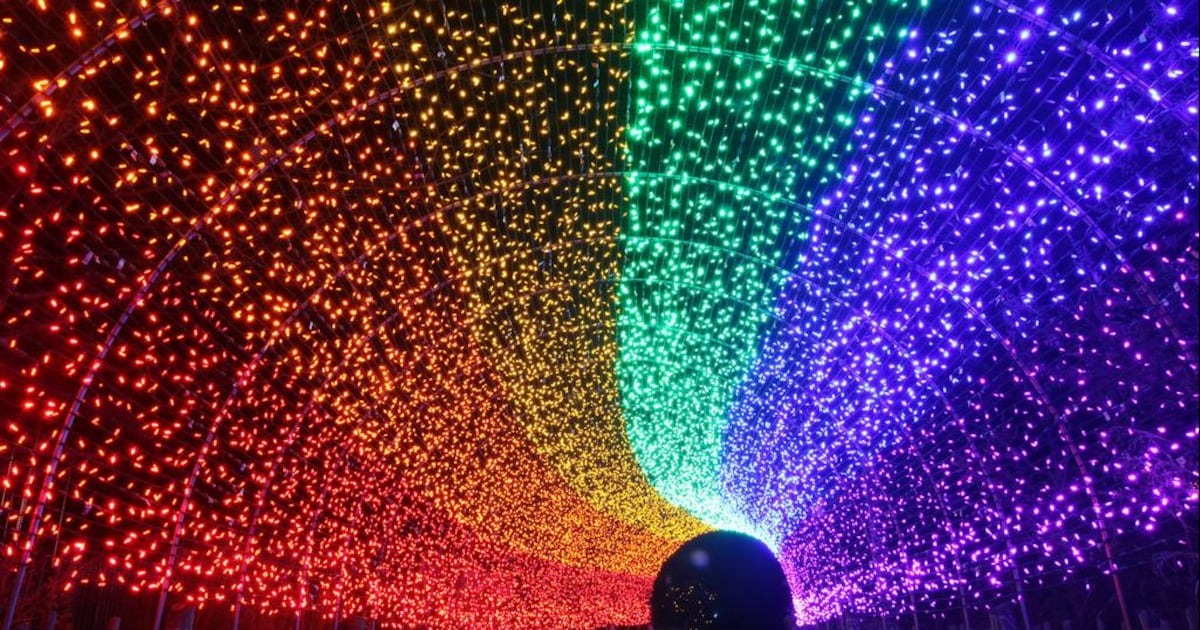 festival of lights cincinnati zoo