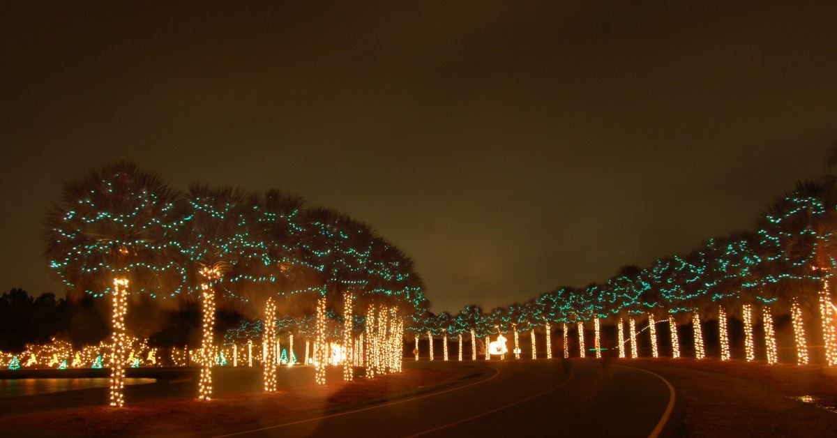 james island festival of lights